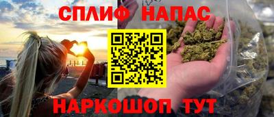 гашик Пыть-Ях